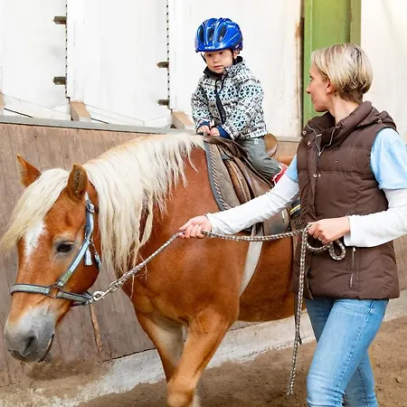 Frieslandstern - Und Schillig