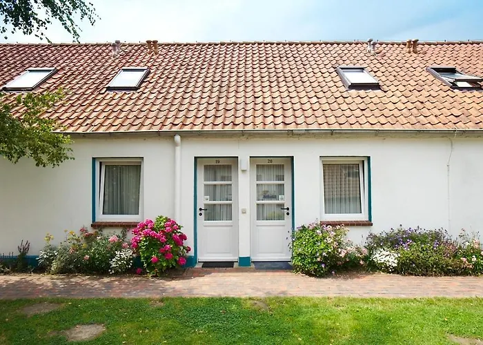 Frieslandstern - Und Schillig